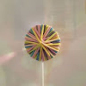 Meet your Posher, Miss